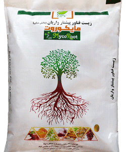 مایکوروت (قارچ مایکوریزا)