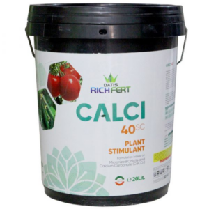 کلسی 40 داتيس داتیس