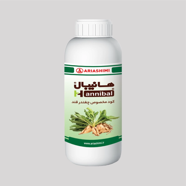 هانيبال جی پکس (روی بو بر)