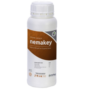 نماکی (NEMAKEY)