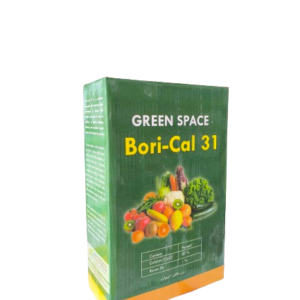 کلات کلسیم بوری کال 31  1 کیلویی