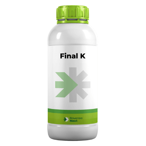 Final K صفحه اصلی