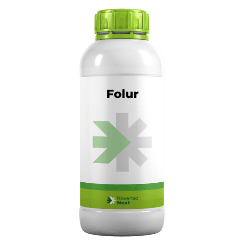 Folur صفحه اصلی