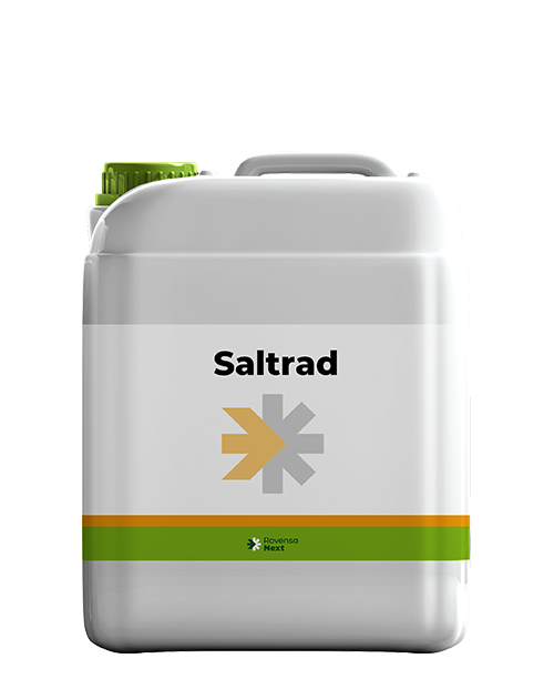 Saltrad صفحه اصلی