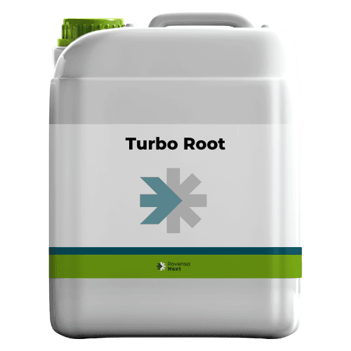 Turbo root صفحه اصلی