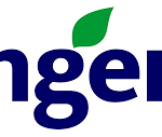 syngenta