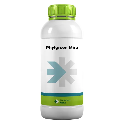 Phylgreen mira صفحه اصلی