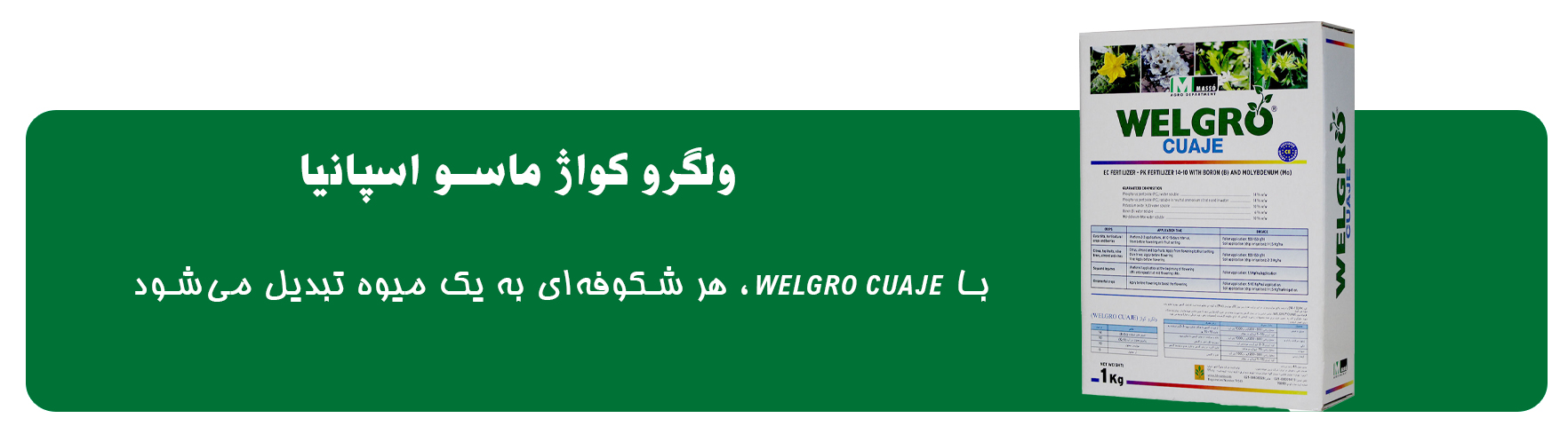 111 welgro صفحه اصلی