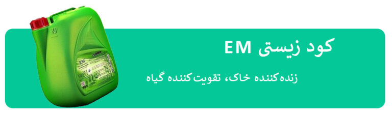 EMMMMM صفحه اصلی