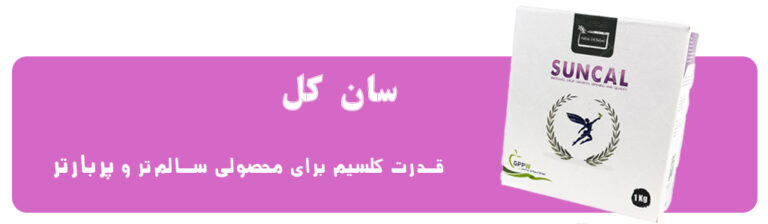 Suncal finaly صفحه اصلی
