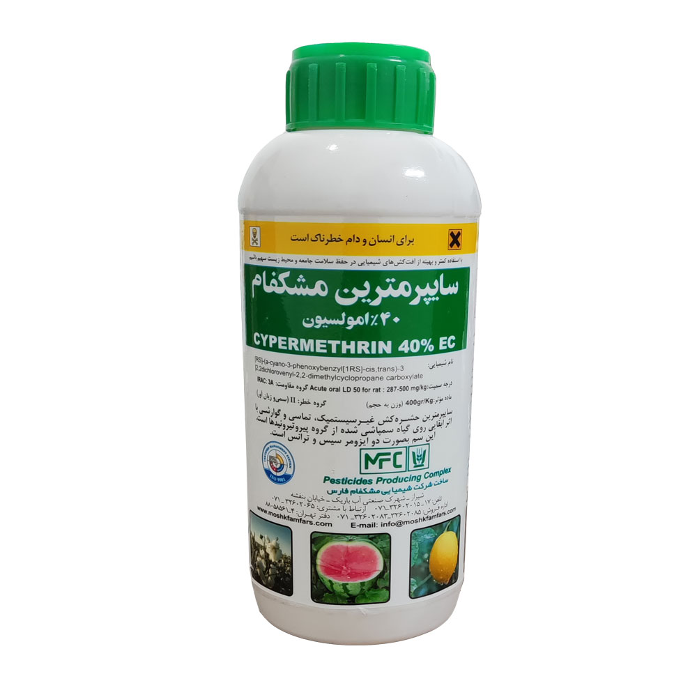 2025 6 10 15 11 44 541393 212 صفحه اصلی