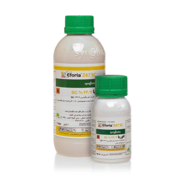 حشره کش افوریا سینجنتا 1 لیتری