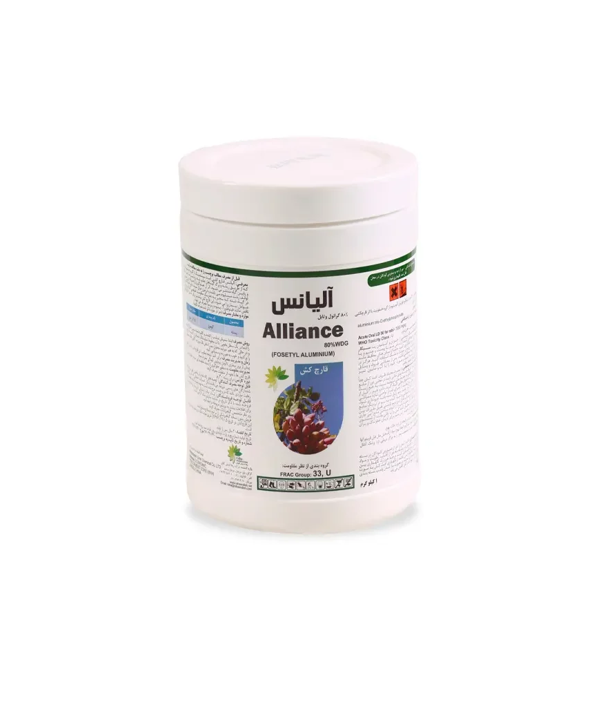 2025 9 14 14 54 47 141938 D8A2D984Db8Cd8A7D986D8B3 Copy E1735808326325 صفحه اصلی