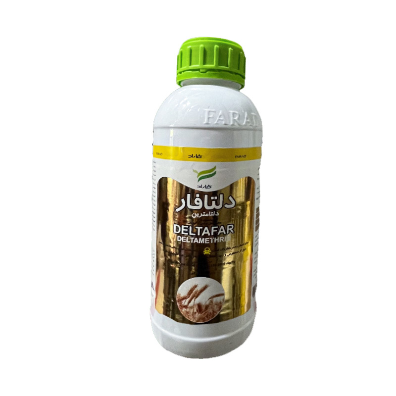 2025 9 3 14 19 59 979244 D8Afd984D8Aad8A7D981D8A7D8B1 صفحه اصلی