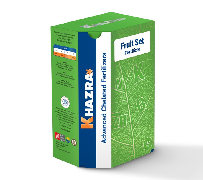 2025 12 24 14 43 48 280054 Fruitset Min صفحه اصلی