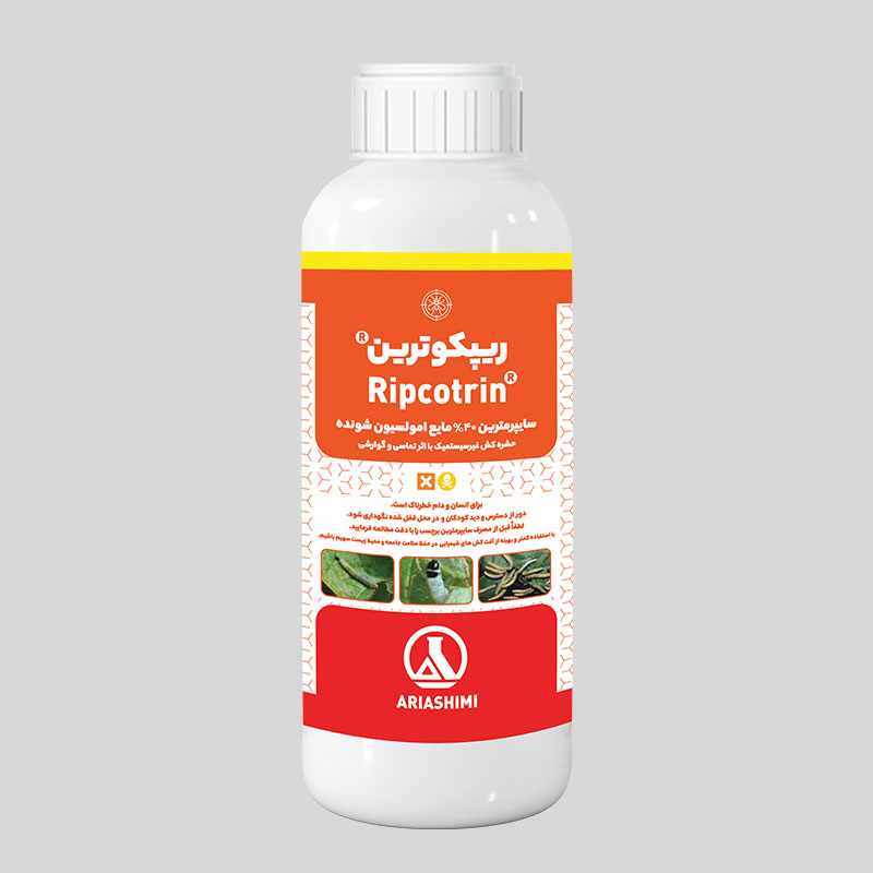 2025 12 27 12 52 53 719927 D8B3D8A7Db8Cd9Bed8B1D985D8Aad8B1Db8Cd986 Copy صفحه اصلی