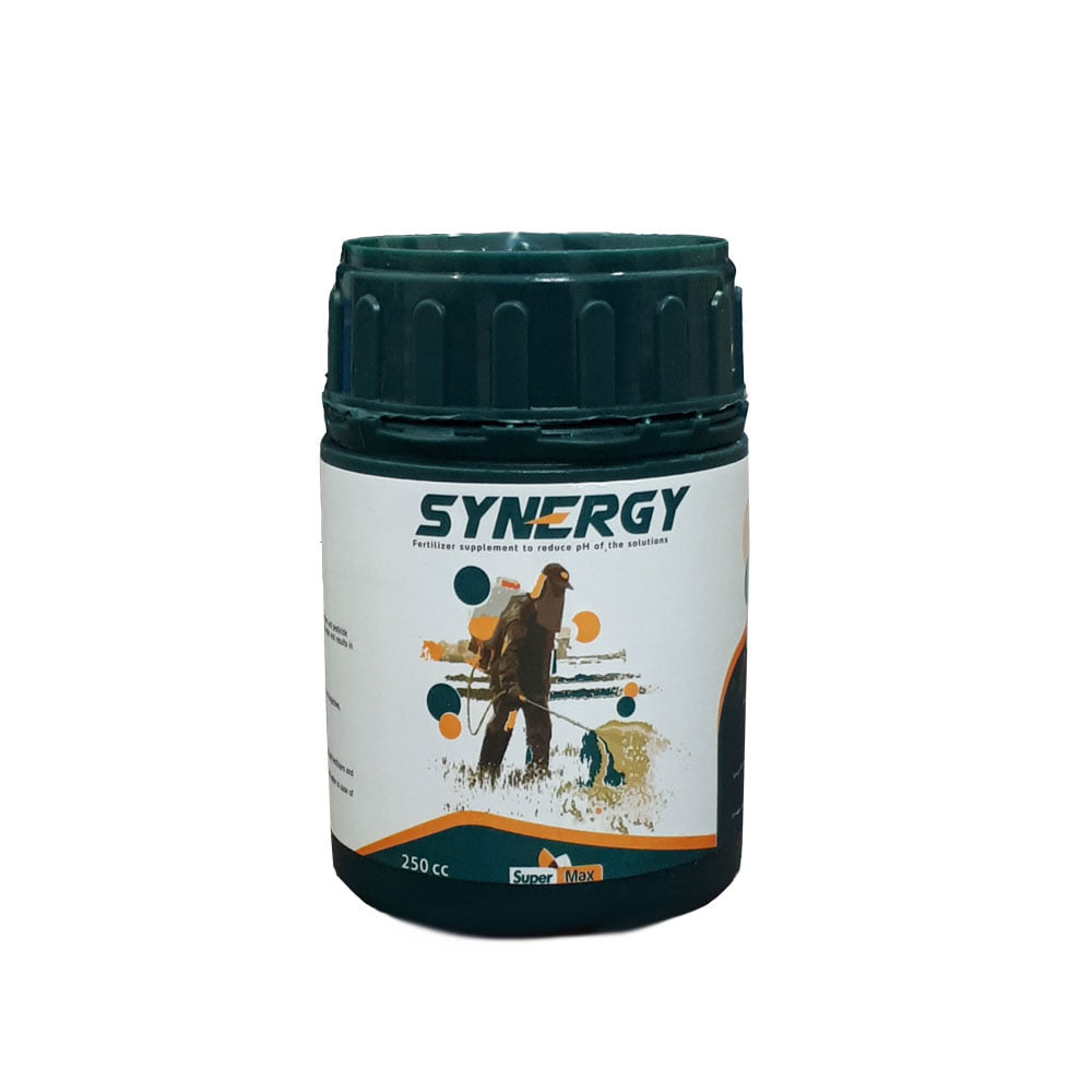 2026 5 12 14 20 35 247701 Synerjy صفحه اصلی