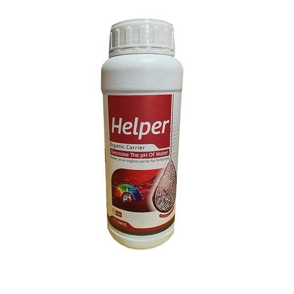 2026 8 10 13 13 41 187055 D987D984D9Bed8B1 D988D8A8 صفحه اصلی